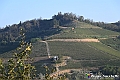VBS_5716 - C'è un mare di velluto verde! E tu che sognavi di andare lontano... Quanta meraviglia, quì!